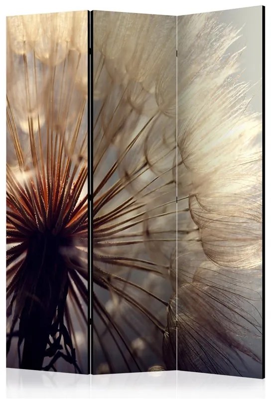 Paravento  Dandelion Kiss [Room Dividers]  Colore Marrone, Dimensioni e Misure 135x172