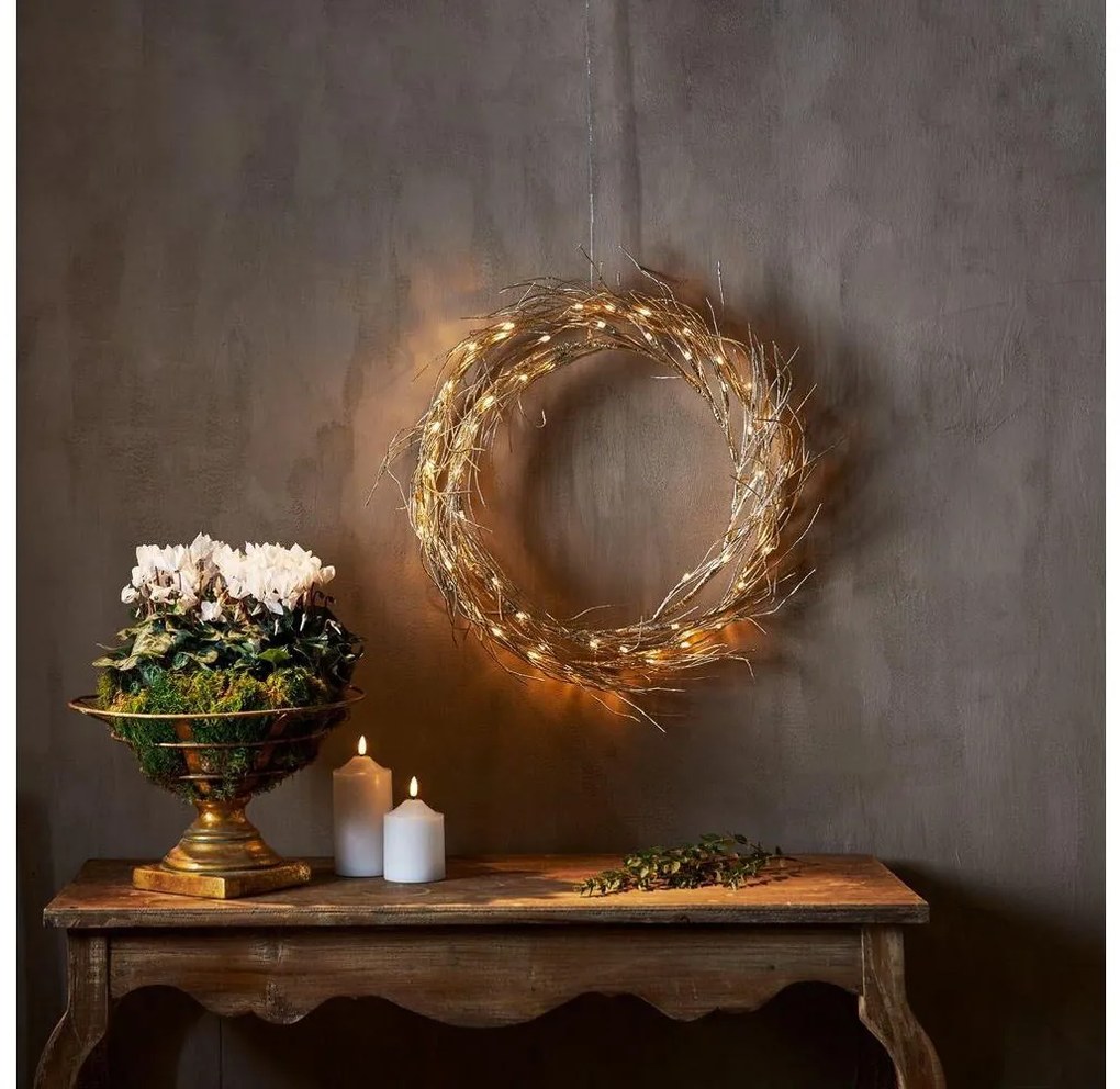 Eglo 411421 - Decorazione natalizia LED FIZZY 50xLED/0,06W/5/230V