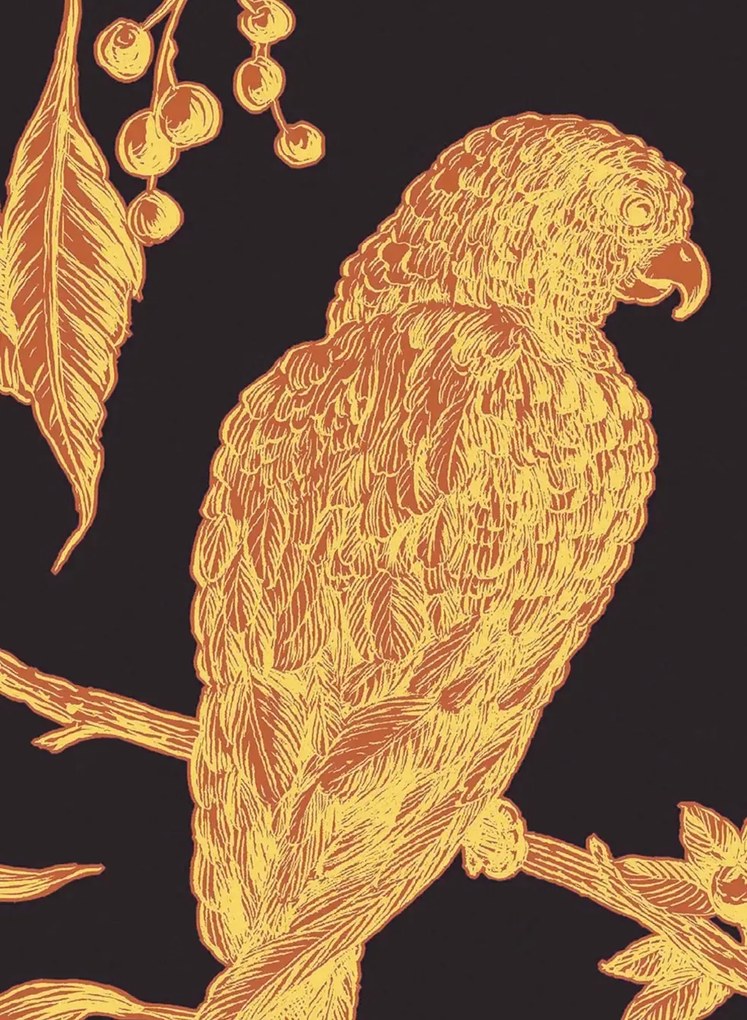 Lewis & Wood Carta da parati Squawk - Ink