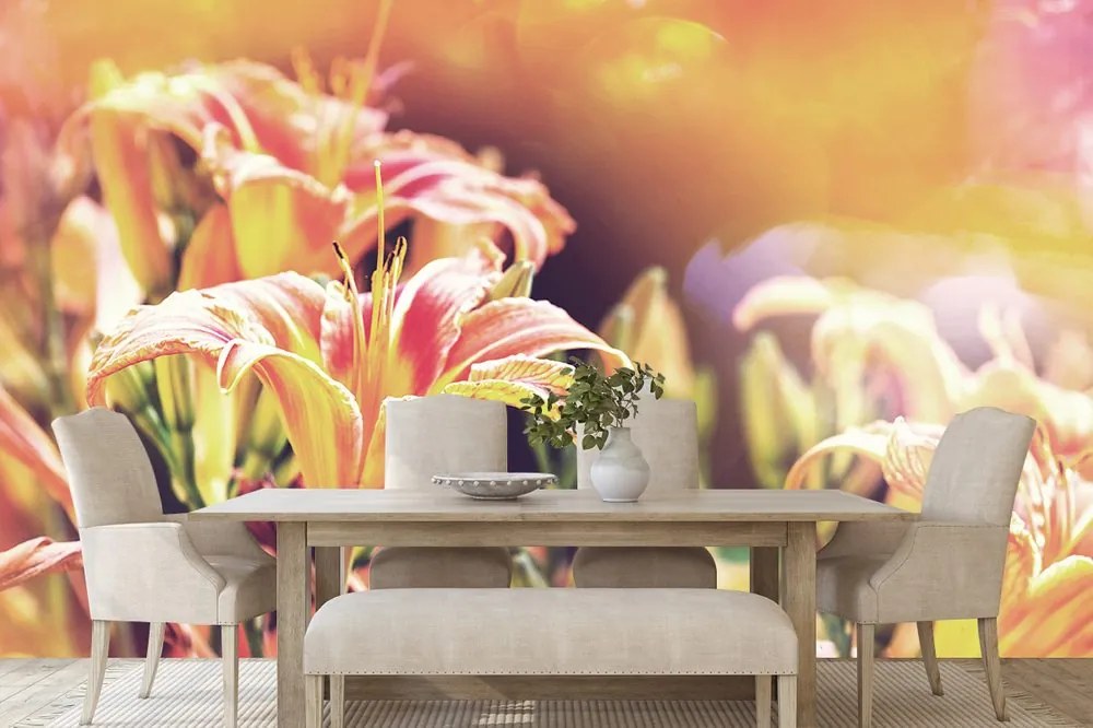 Carta da parati autoadesiva – Fiori in giardino
