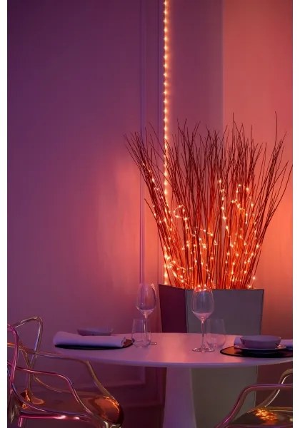 Twinkly TWD060STP-T - Catena DOTS a LED RGB dimmerabile 60xLED, 7 m, USB, Wi-Fi