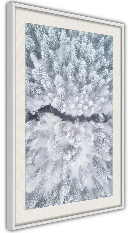 Poster  Winter Forest From a Bird's Eye View  Cornice Quadri Cornice d'oro con passe-partout, Larghezza x Altezza Home decor 30x45