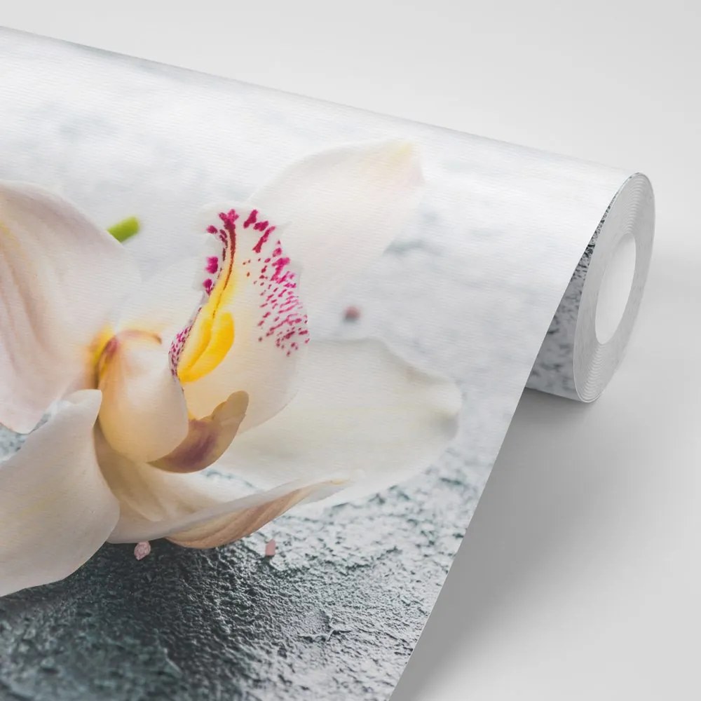 Carta da parati – Fiori di orchidee