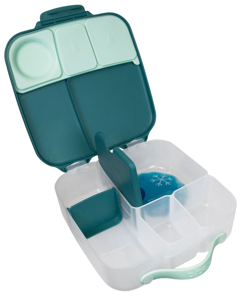 Box porta merenda grande – emerald forest