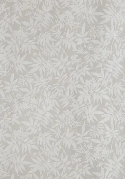 Farrow & Ball Carta da parati Jasmine - Purbeck Stone/ Ammonite