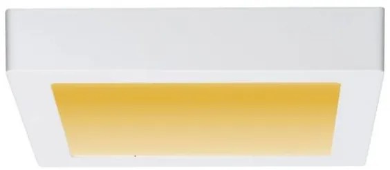 Paulmann 79796 - Plafoniera LED/13W CARPO 230V 2300-3000K