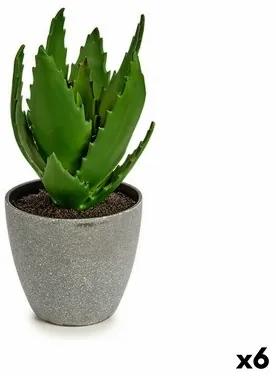 Pianta Decorativa Aloe Vera 14 x 21 x 14 cm Grigio Verde Plastica (6 Unità)