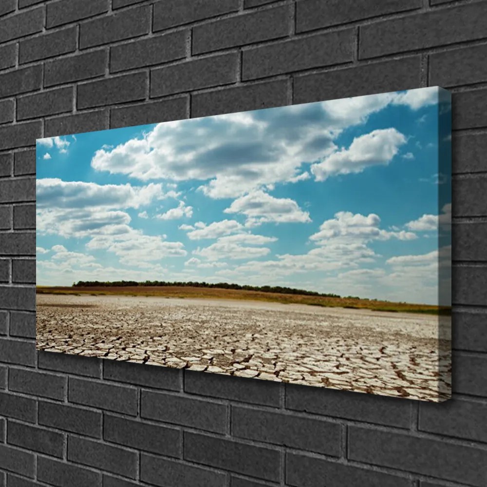 Quadro su tela Paesaggio di sabbia del deserto 100x50 cm