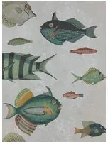 Mindthegap Carta da parati Poissons - WP20182