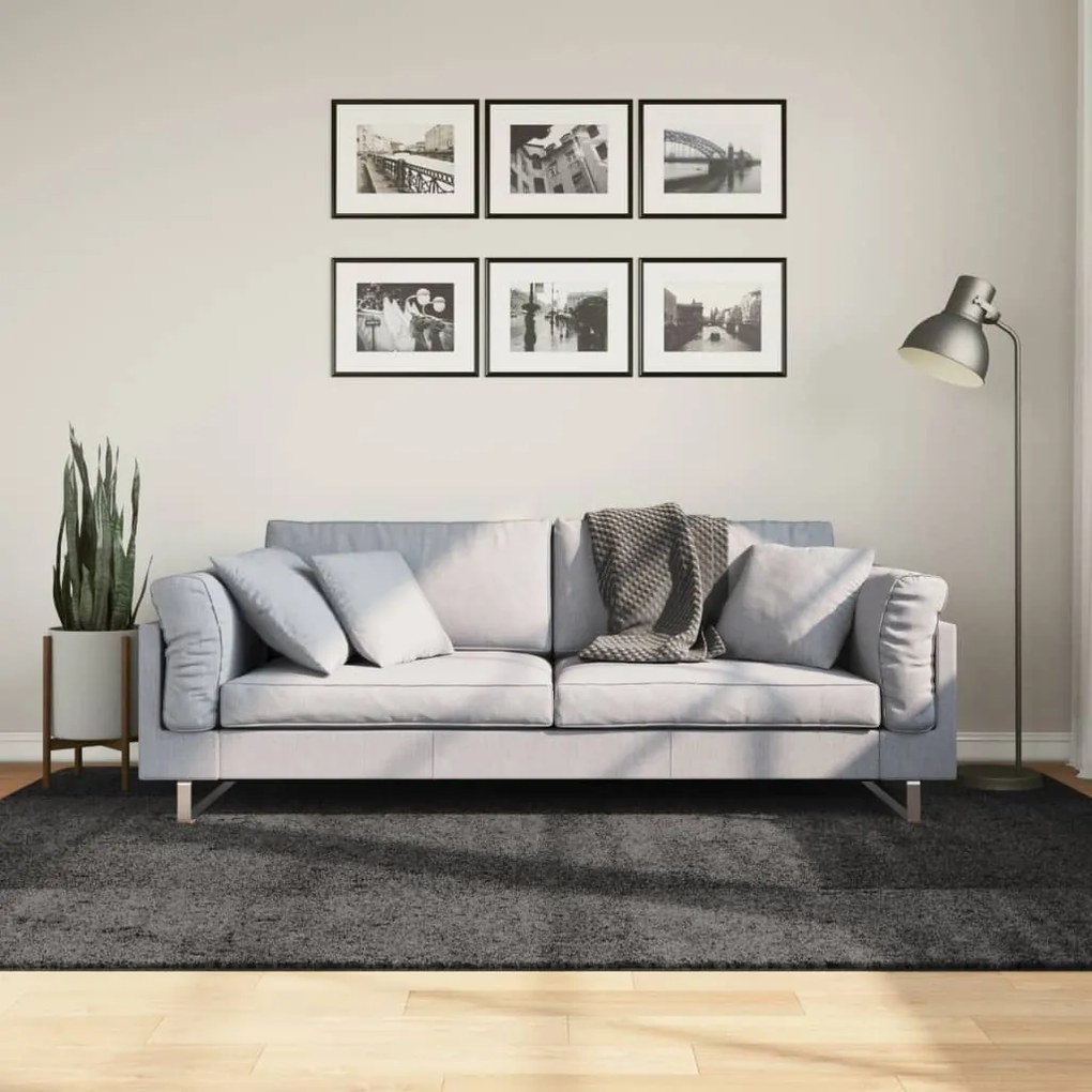 Tappeto Shaggy Pamplona Pelo Lungo Moderno Antracite 160x230cm /