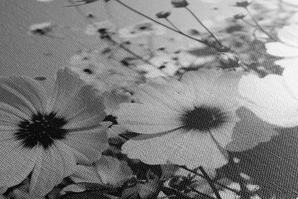 Stampa su tela – Prato di fiori primaverili in bianco e nero