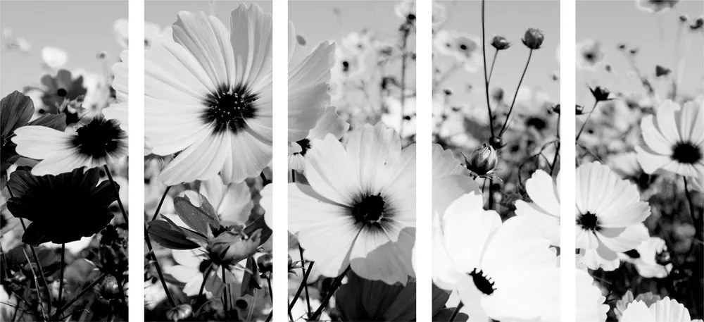 Quadri 5 pezzi – Prato di fiori primaverili in bianco e nero
