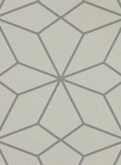 Geometrische Tapete Axal von Harlequin - Slate