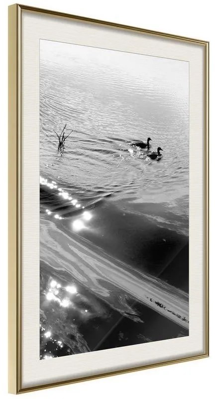 Poster Texture of Water Cornice Quadri Cornice d'oro con passe-partout, Larghezza x Altezza Home decor 30x45
