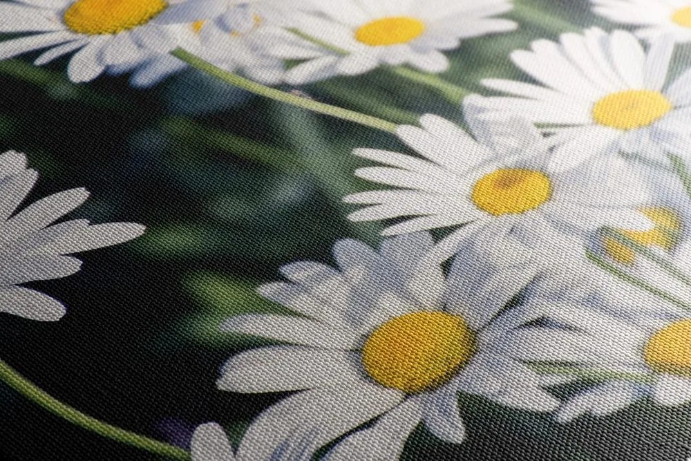 Quadro su tela – Margherite in giardino