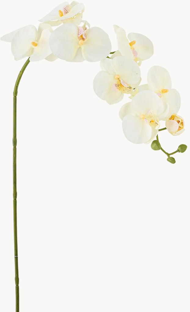 Set di 2 orchidee artificiali