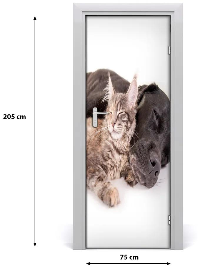 Adesivo per porta Cane e gatto 75x205 cm