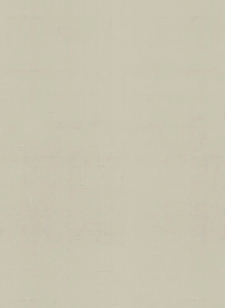 Armani Casa Carta da parati Plain Faust - 9091