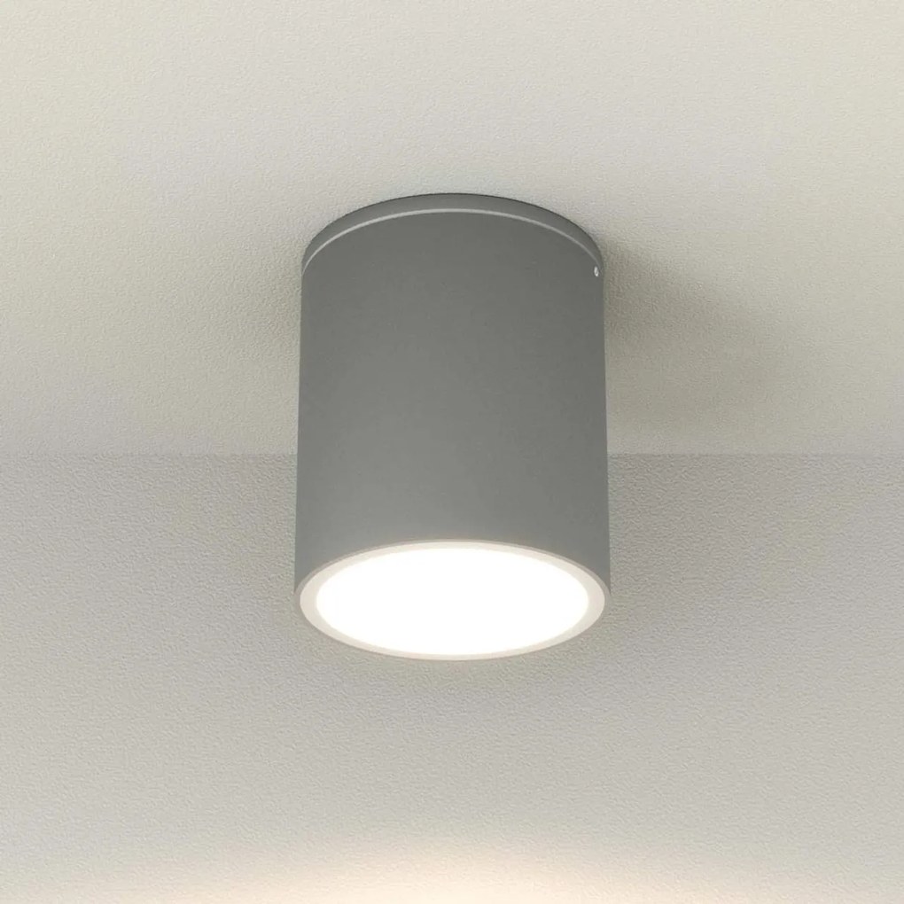 Applique da soffitto Cilindrica PAR30 IP54 in Alluminio e Vetro - Grigia