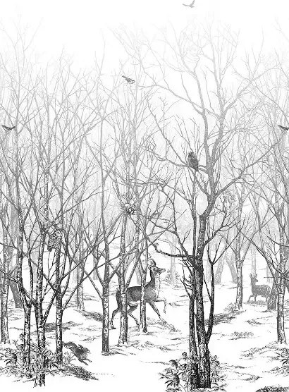 Isidore Leroy Carta da parati panoramica Forêt enchantée - Noire/ Blanc