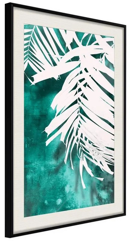 Poster  White Palm on Teal Background  Cornice Quadri Cornice nera con pass-partout, Larghezza x Altezza Home decor 20x30