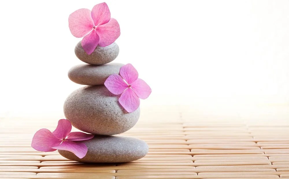 Carta da parati autoadesiva – Equilibrio di pietre e fiori rosa