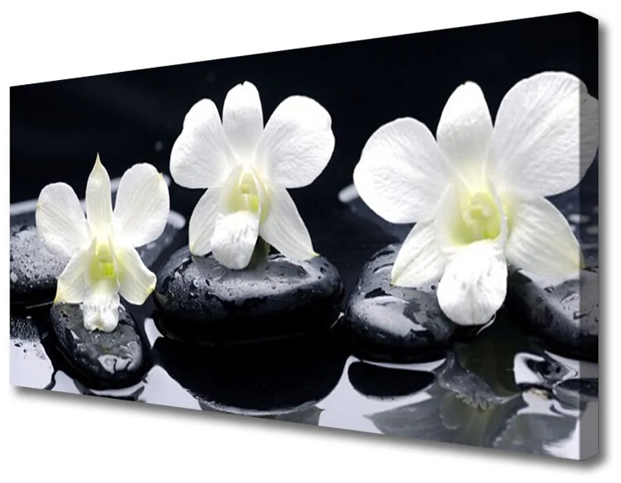 Quadro su tela Pianta di pietre di orchidea 100x50 cm