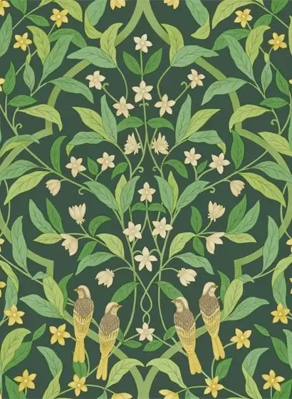 Cole & Son Carta da parati Jasmine & Serin Simphony - Yellow on Dark Forest Green