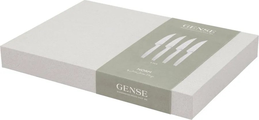 Posate argentate in acciaio inox 4 pz Norm – Gense