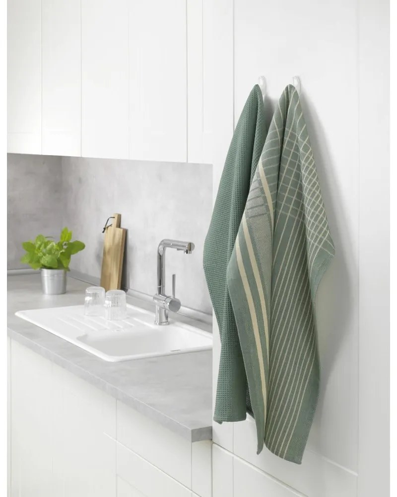 Strofinaccio in cotone 45x65 cm Tito – Wenko