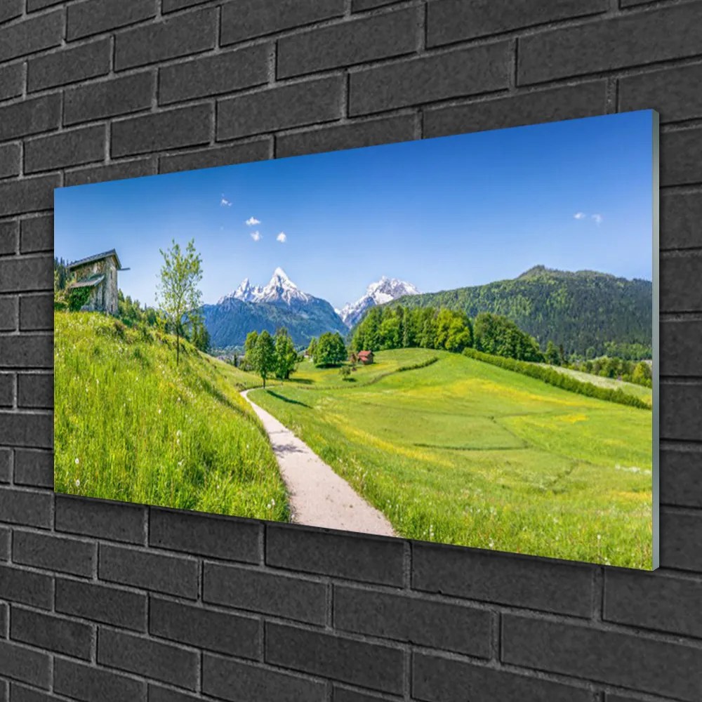 Quadro di vetro Montagne Prato Valle Sentiero 140x70 cm