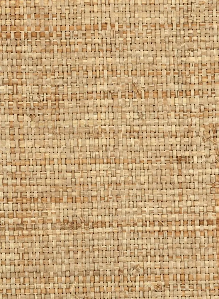 Élitis Carta da parati Cesteria - RM 1017 04