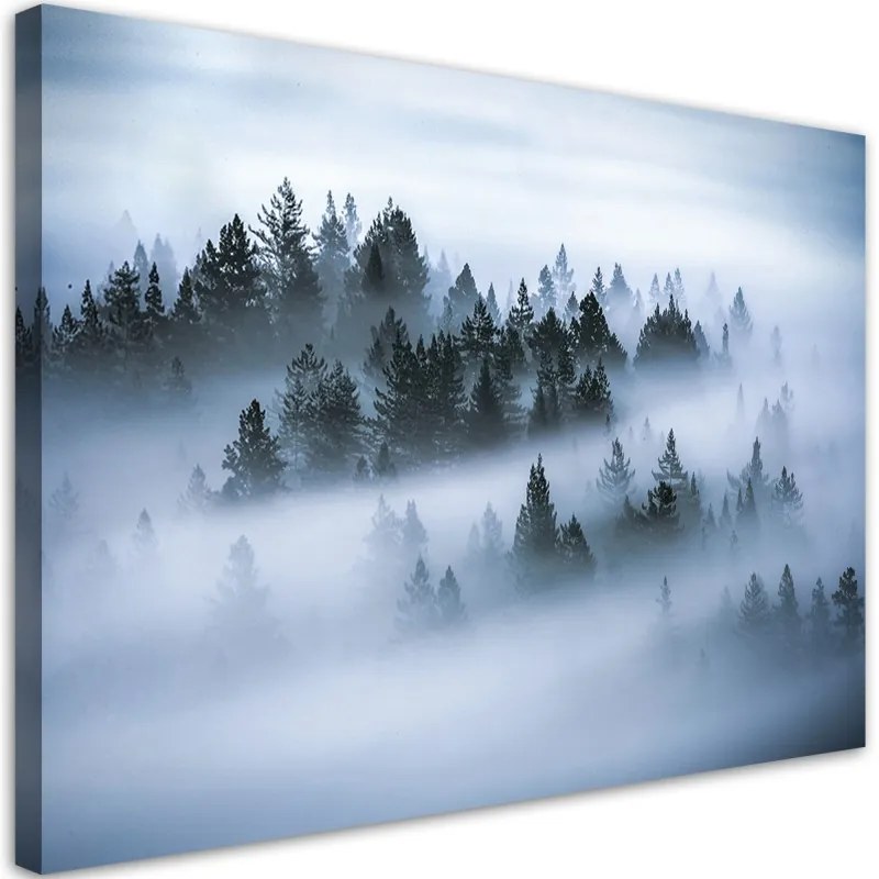 Quadro su tela, Foresta nella nebbia  Dimensioni 60x40