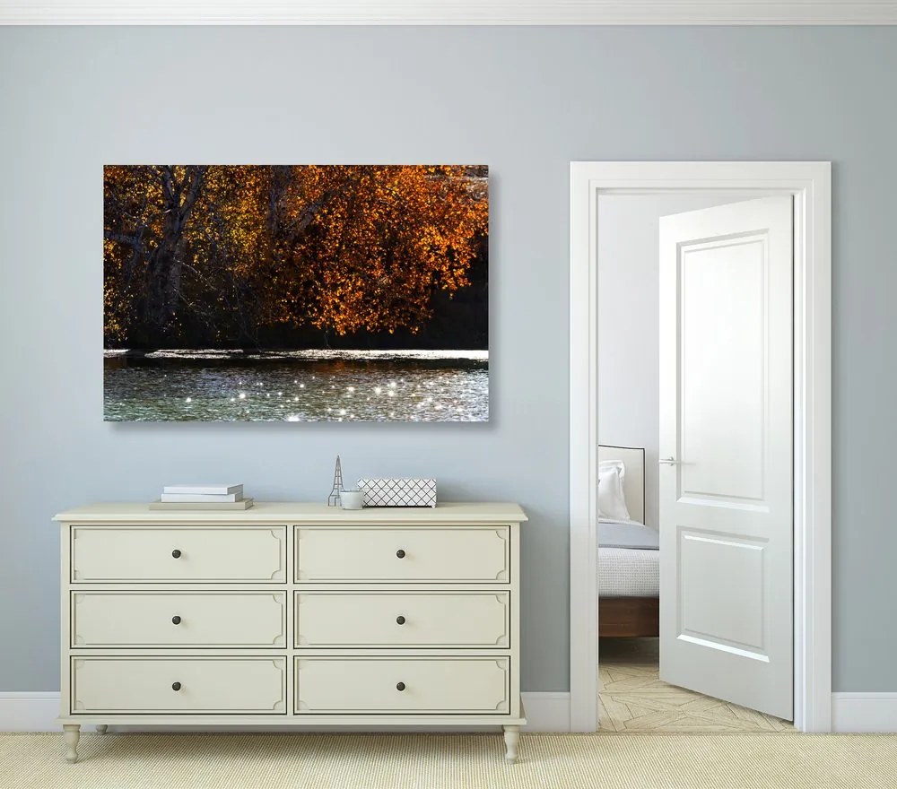 Quadro su tela – Riflesso delle foglie nel lago