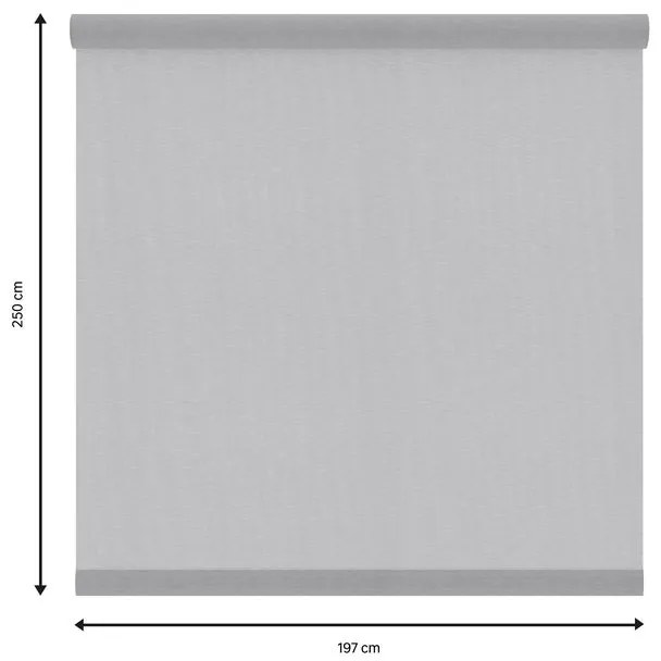 Tessuto per tende a rullo filtrante INSPIRE Canberra grigio / argento 197 x 250 cm