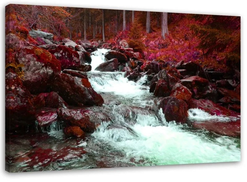 Quadro su tela, Torrente di montagna foresta rosso  Dimensioni 90x60