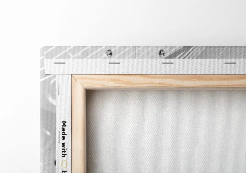 Stampa su tela – Lusso in bianco e nero
