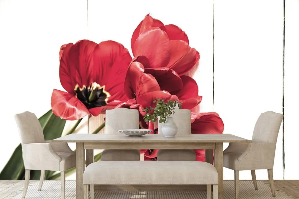 Carta da parati – Tulipani rossi in fiore