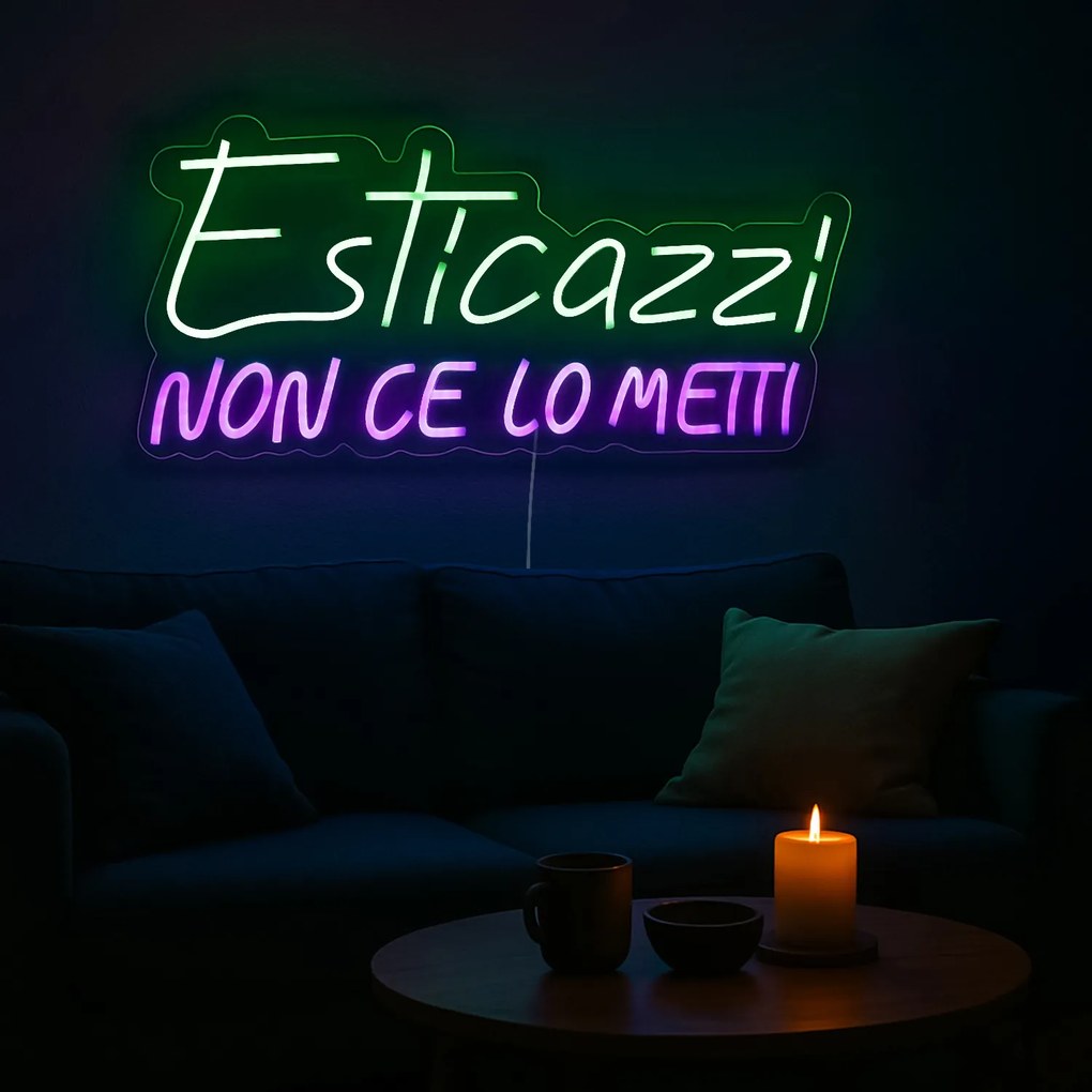 Insegna luminosa Esticazzi, da appendere