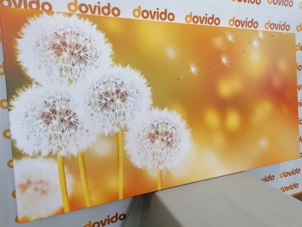 Stampa su tela – Dente di leone soffice