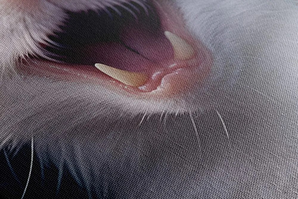 Quadro su tela – Ratto con cuffie