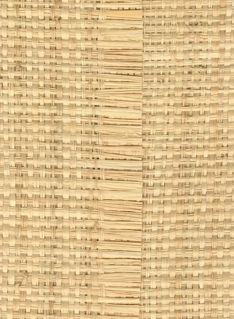CMO Paris Carta da parati Raphia Vertical - Naturel