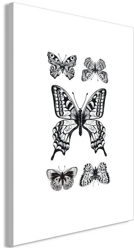 Quadro Five Butterflies (1 Part) Vertical  Colore bianco e nero, Dimensioni e Misure 60x90