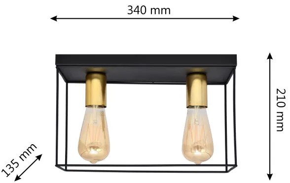 Plafoniera FINN 2xE27/15W/230V nero/oro