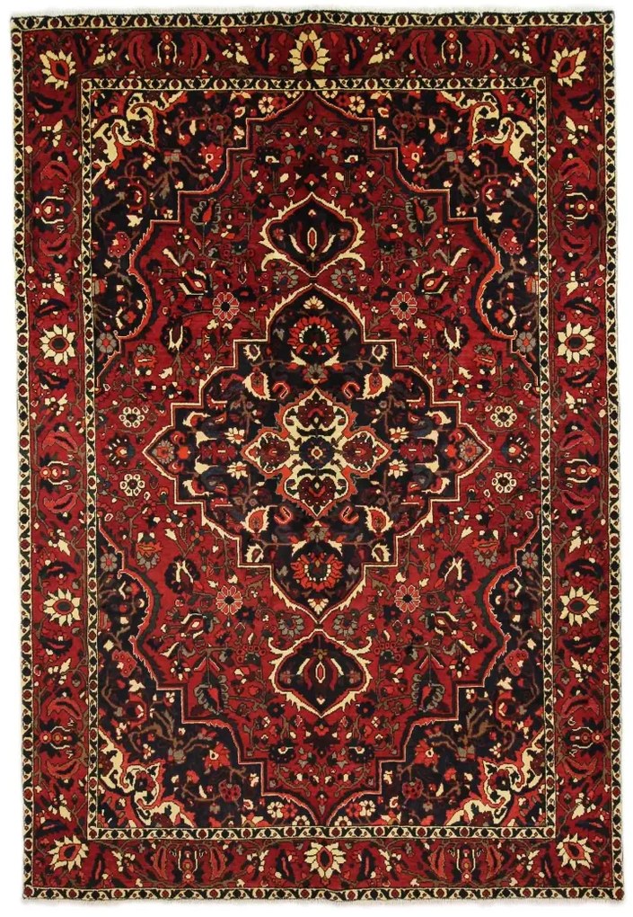 Bakhtiar Tappeto 310 x 210 (Iran)