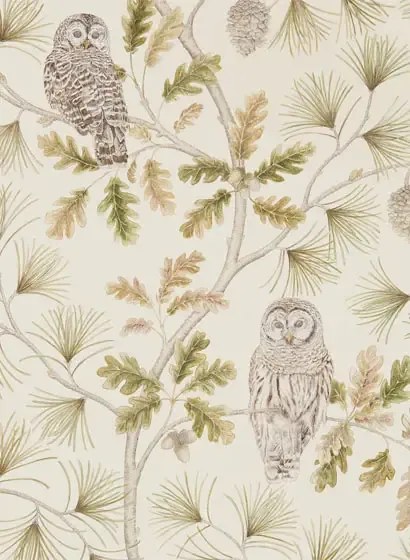 Sanderson Carta da parati Owlswick - Briarwood