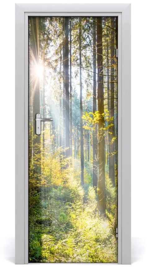 Poster adesivo per porta Il sole nella foresta 75x205 cm