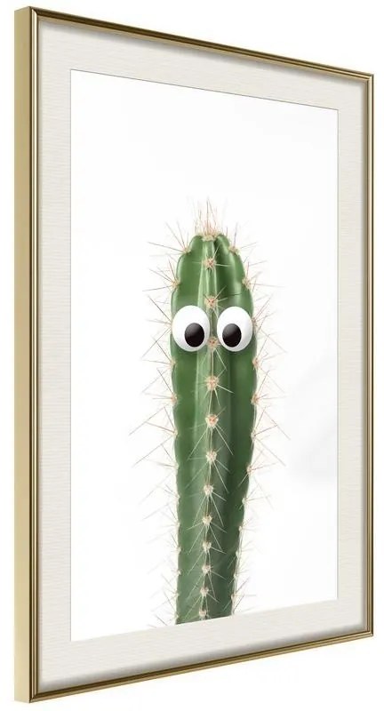 Poster  Funny Cactus I  Cornice Quadri Cornice d'oro con passe-partout, Larghezza x Altezza Home decor 30x45