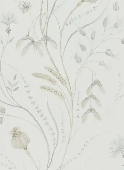 Florale Tapete Summer Harvest von Sanderson - Silver/ Chalk