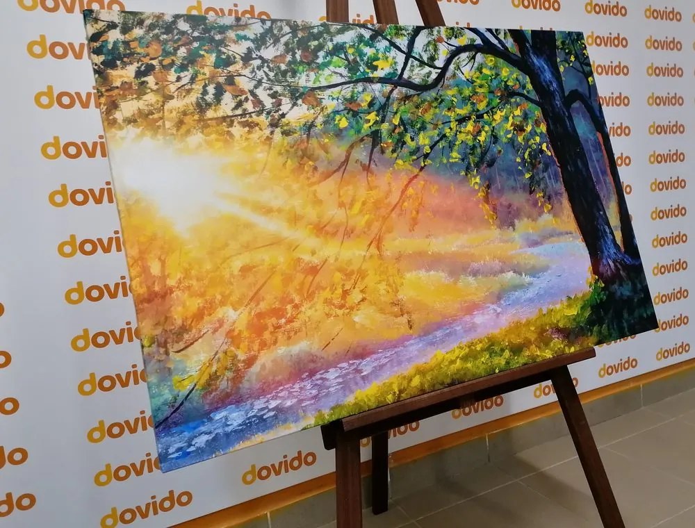 Quadro su tela – Alba nel bosco